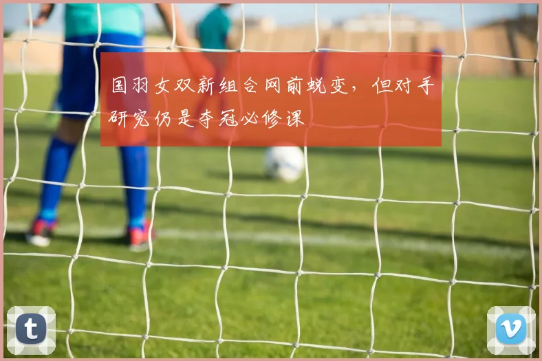 国羽女双新组合网前蜕变，但对手研究仍是夺冠必修课