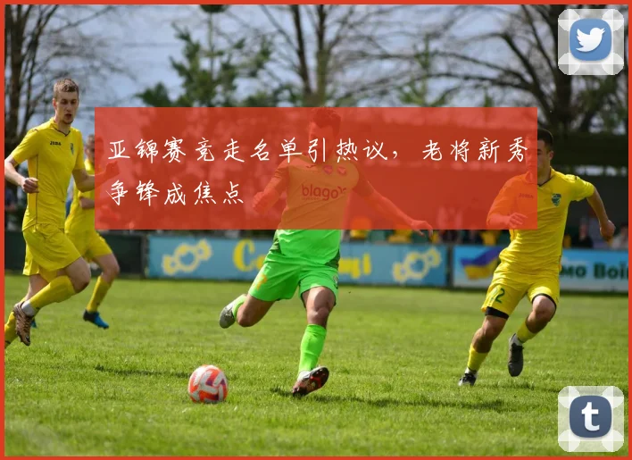亚锦赛竞走名单引热议,老将新秀争锋成焦点