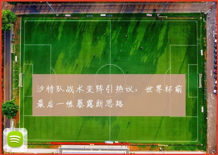 沙特队战术变阵引热议，世界杯前最后一练暴露新思路