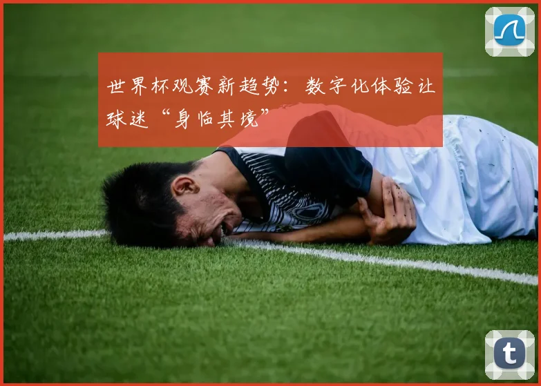 世界杯观赛新趋势：数字化体验让球迷“身临其境”