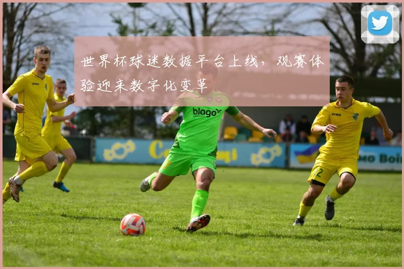 世界杯球迷数据平台上线,观赛体验迎来数字化变革